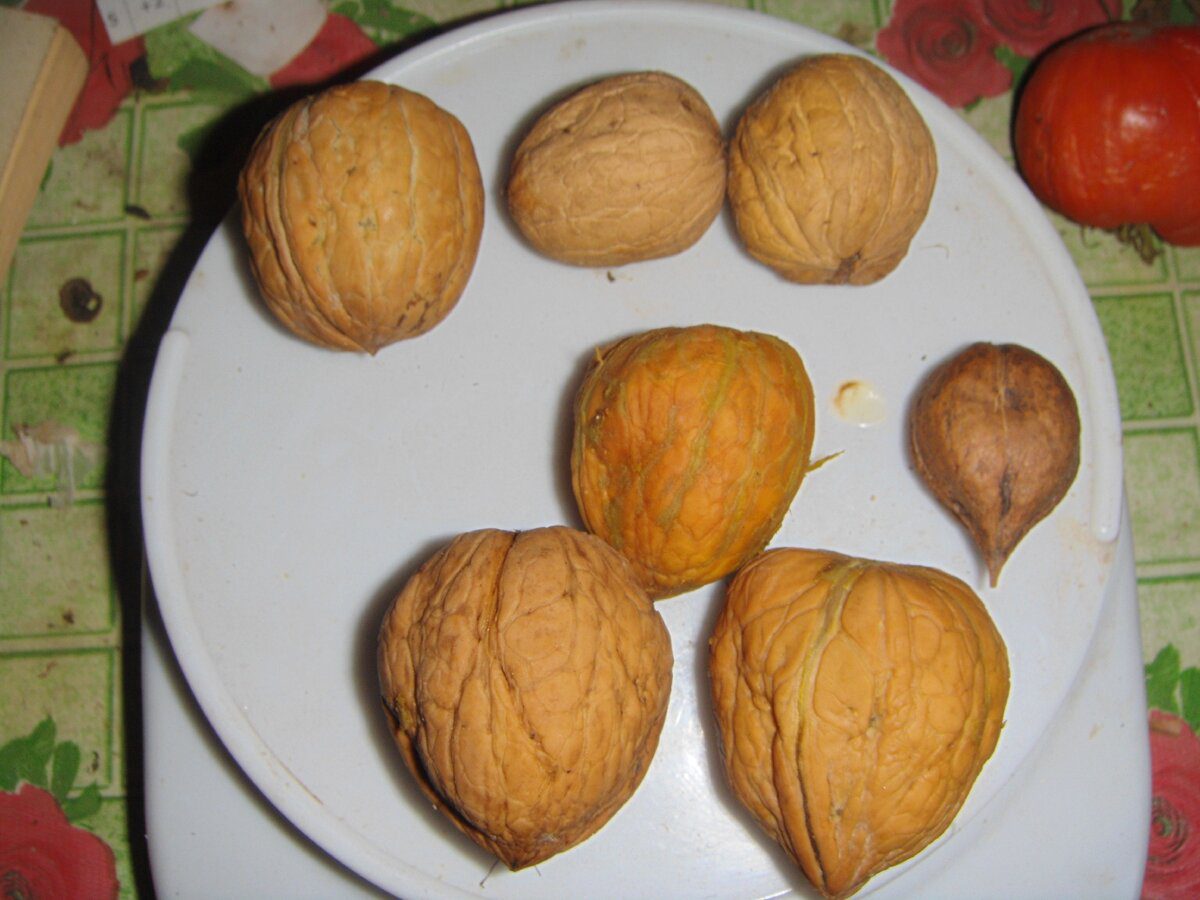 Експерти розповіли, як чистити волоські горіхи за допомогою скляної пляшки швидко й просто