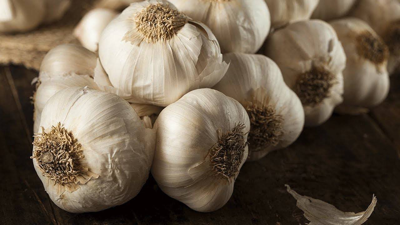 Городники розповіли, як легко збільшити врожайність часнику втричі