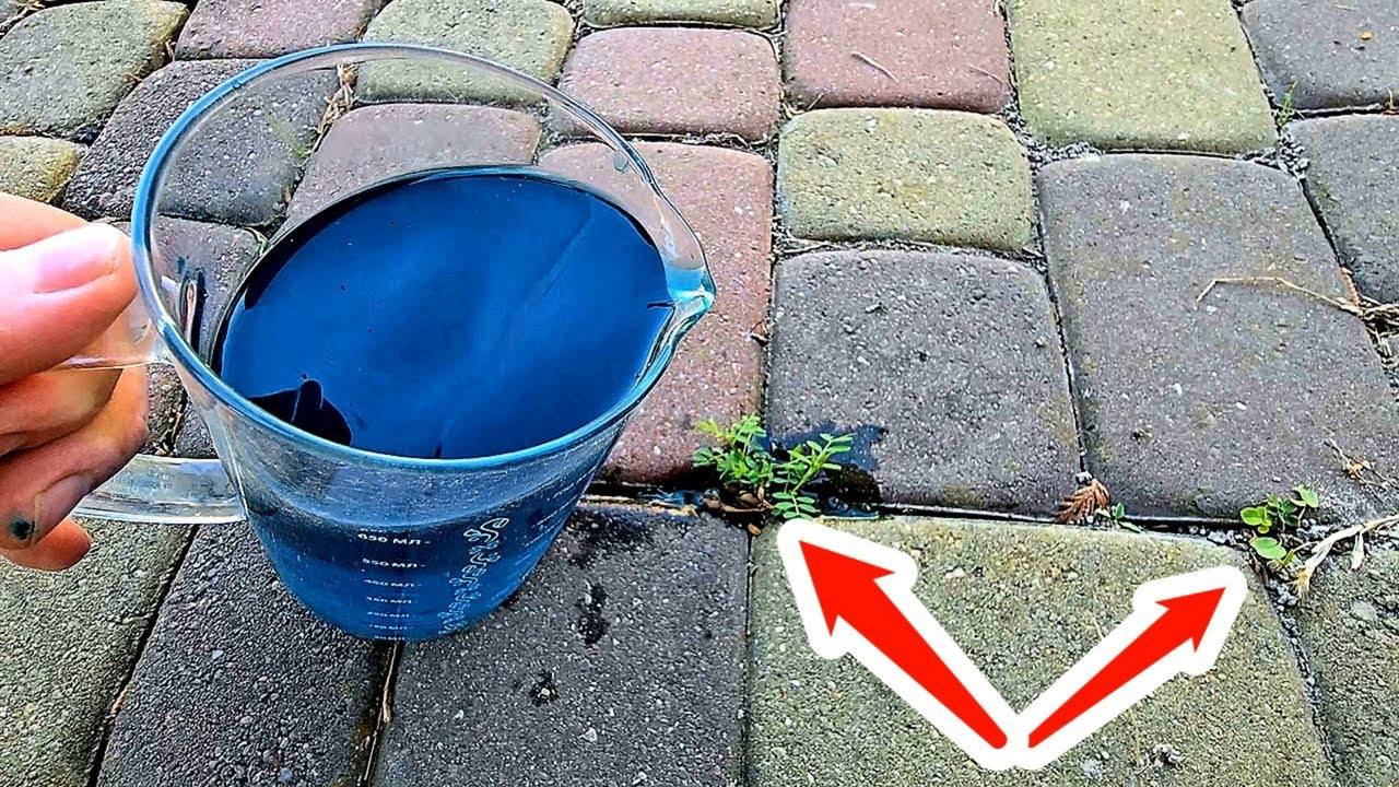 Дачники розповіли, як швидко позбутися бур'янів між плитками садових доріжок