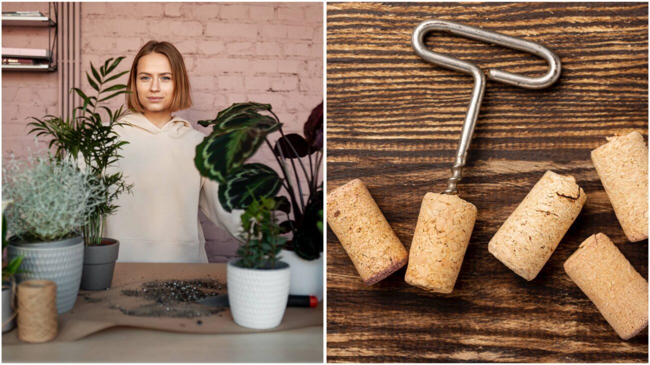 Експерти розповіли, як пробки від винних пляшок допомагають у догляді за квітами