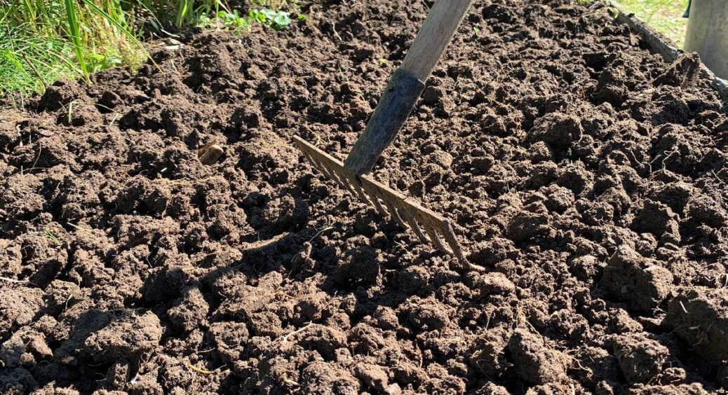 Забудьте про торфогрунт за 100 грн: компост + пісок + зола – ідеальна суміш для розсади коштує копійки 