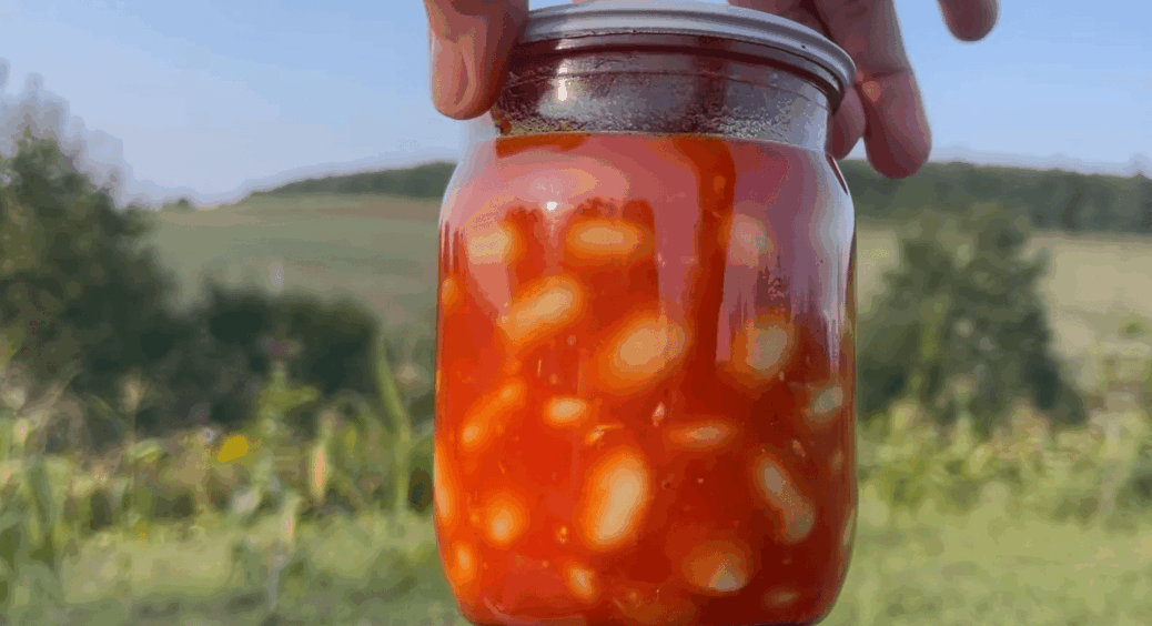 Поки літо дарує, не полінуйтесь, щоб взимку з банки — і на стіл: квасоля з томатами смакуватиме навіть дітям 