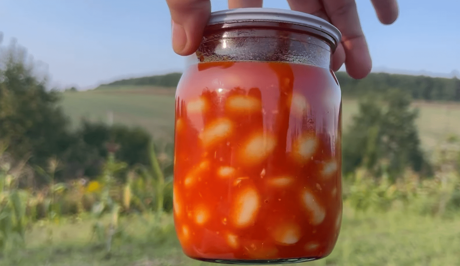 Кулінари поділились рецептом консервованої квасолі у томатному соку