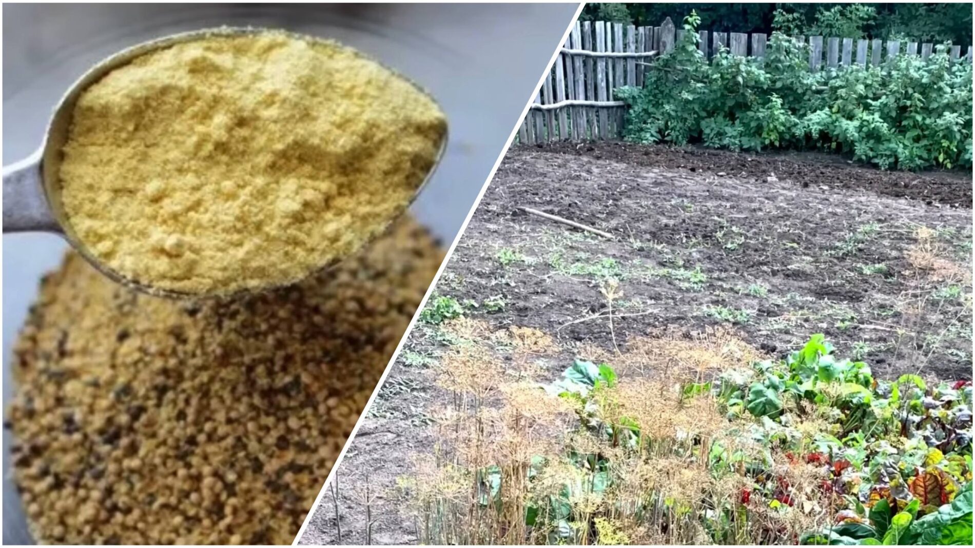 Агрономи поділилися рецептом дієвого добрива для грядок замість гною