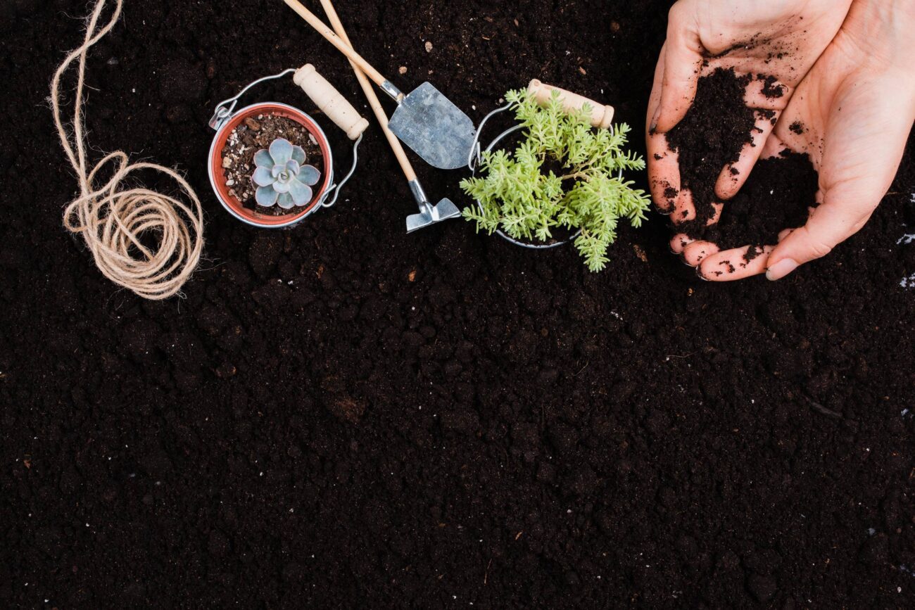 Городники назвали суміш, яка врятує грядки від перших морозів 
