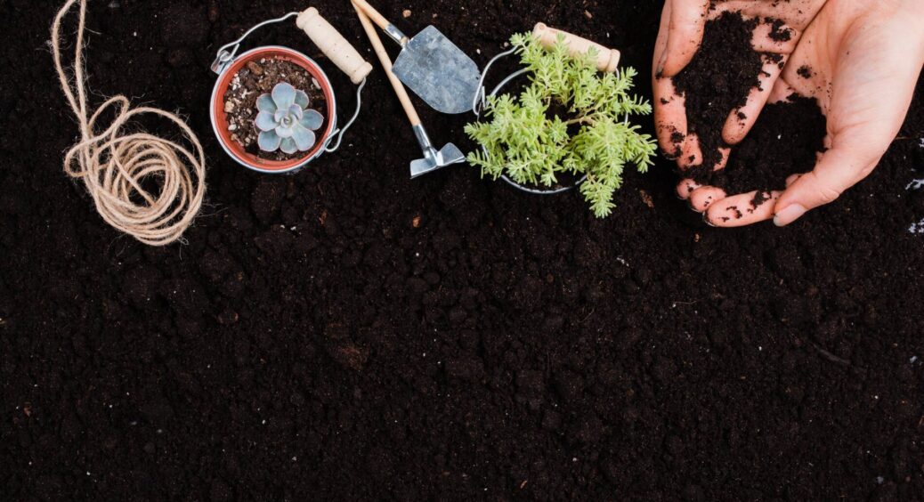Перед холодами обробляю грядки 2 л суміші – земля не замерзає, а рослини залишаються цілими аж до весни 