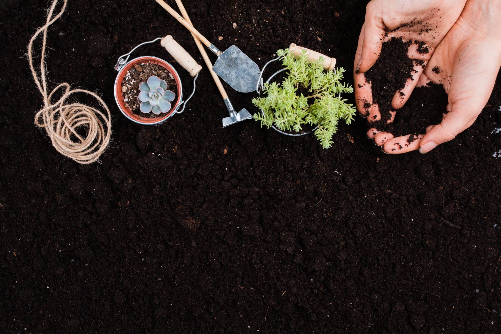 Городники назвали суміш, яка врятує грядки від перших морозів 