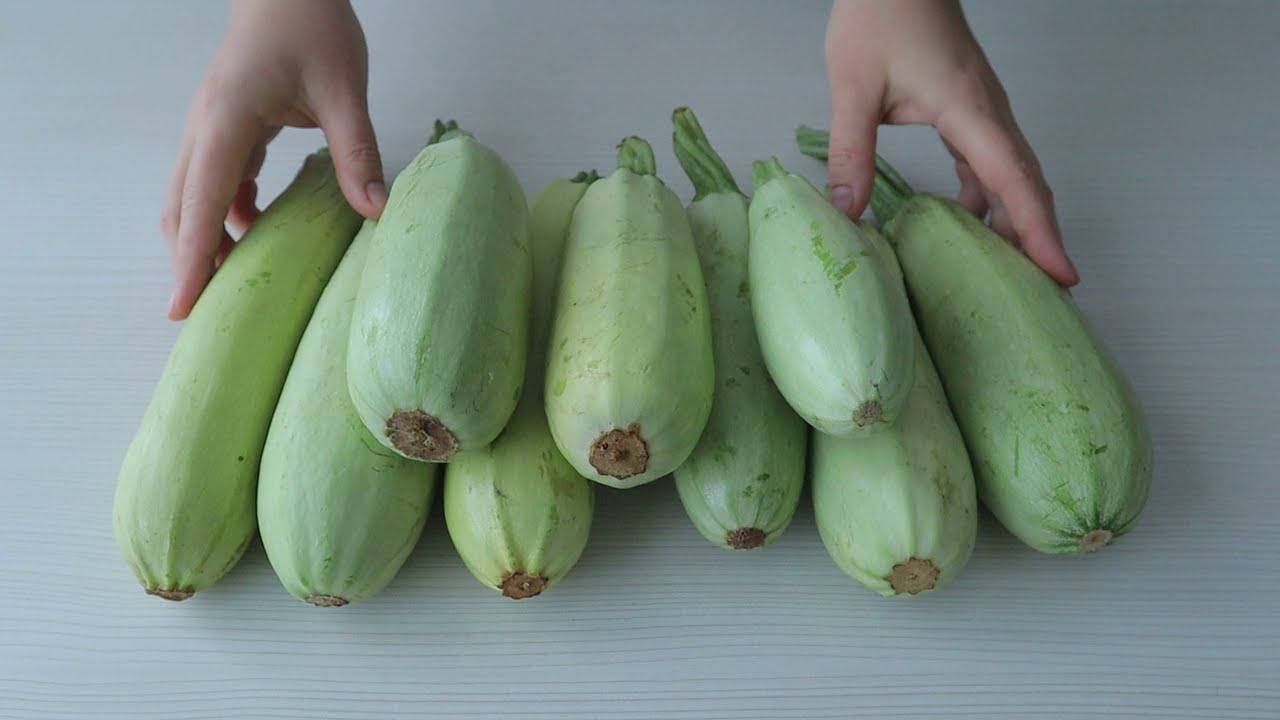 Городники розповіли, як доглядати за кабачками, щоб вони плодоносили до жовтня 