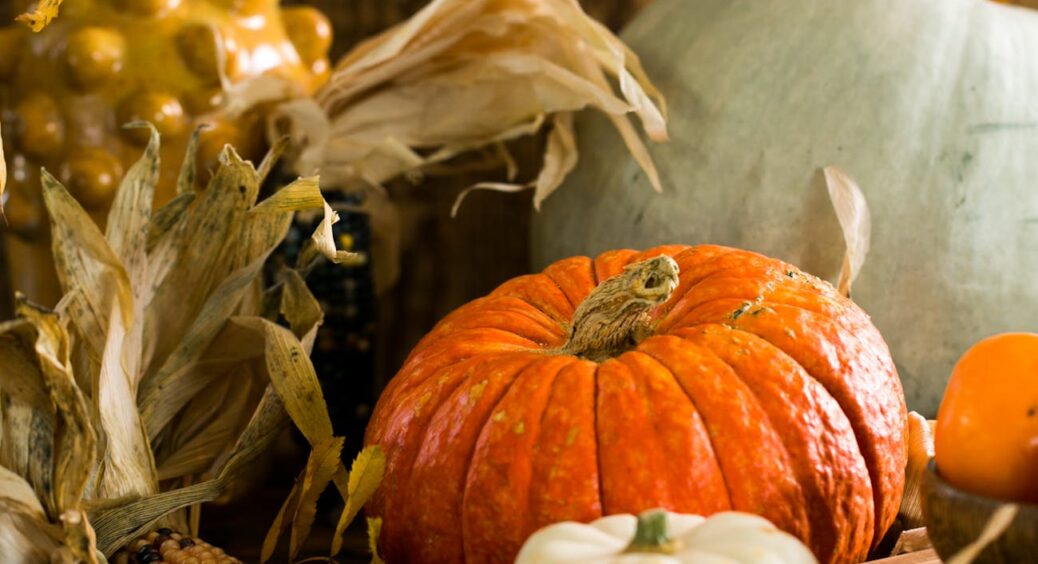 Я не стукаю по гарбузу, як сусід, я дивлюся на ці 3 прикмети: головні ознаки того, що пузан вже стиглий 