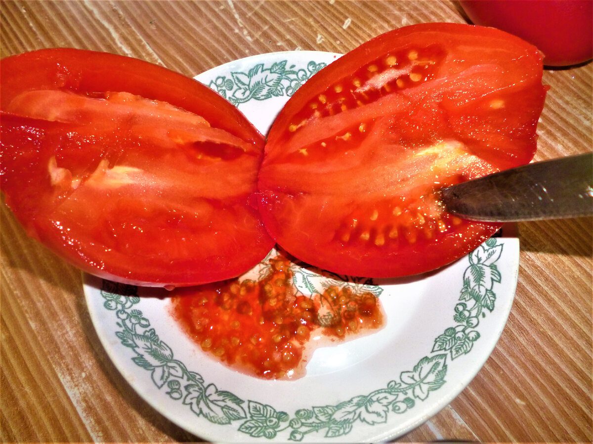 Городники назвали сорт томатів, який вразив своєю врожайністю