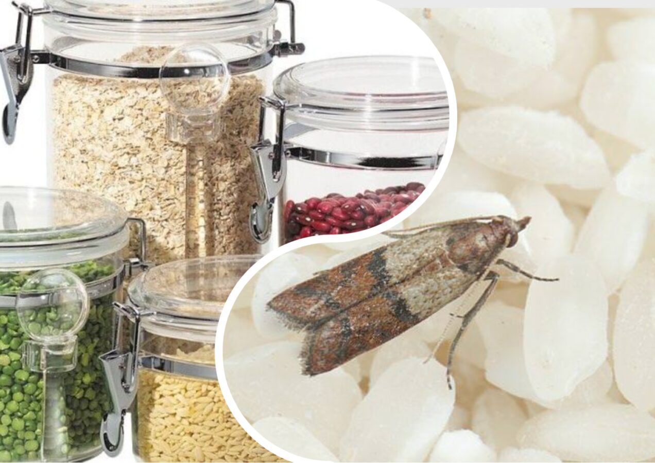 Експерти розповіли, як правильно зберігати крупу в банках