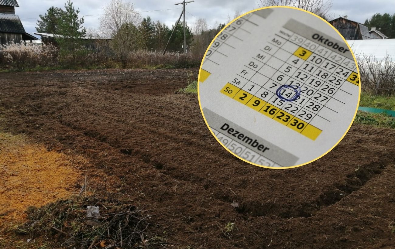 Чому не можна укривати рослини занадто рано