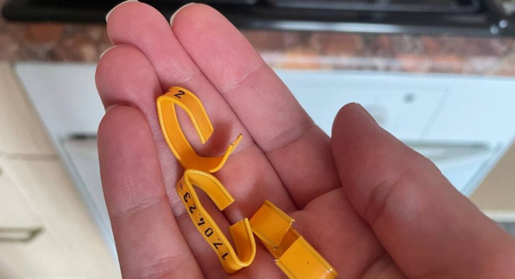 “Затискачі” для пакетів із хлібом бережу як зіницю ока: восени роблю ці 5 дій – не “Вуду”, а розумний трюк 