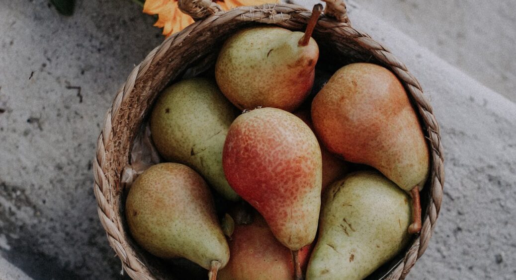 З липня і до січня зі свого саду! Приблизний термін збирання груш: мої 4 улюбленці літніх та зимових сортів 