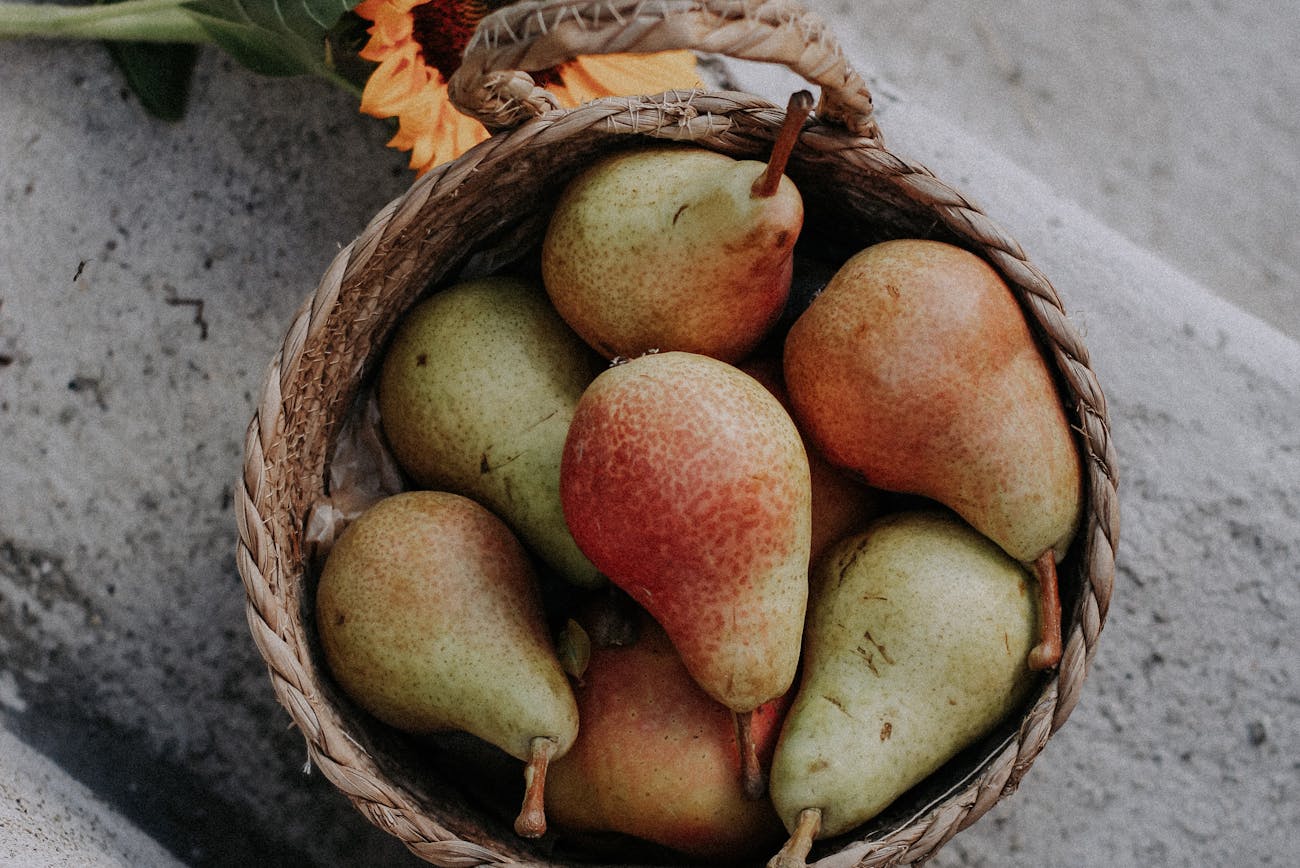 Садівники розповіли про терміни збирання врожаю груш різних сортів