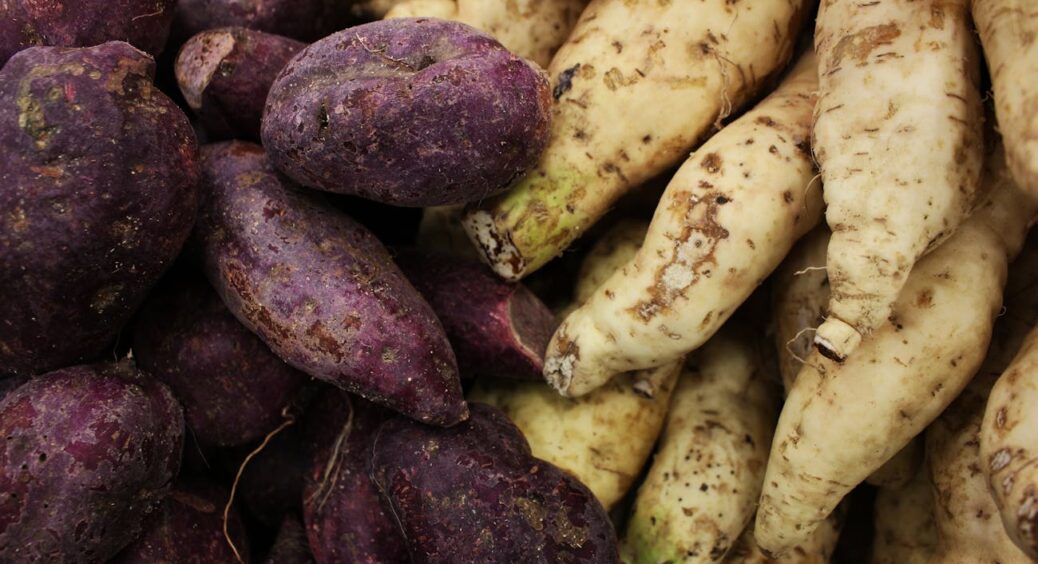 Це вам не картопля! Я вже 3-й рік вирощую батат: ось коли збираю врожай і як рятую його від псування 