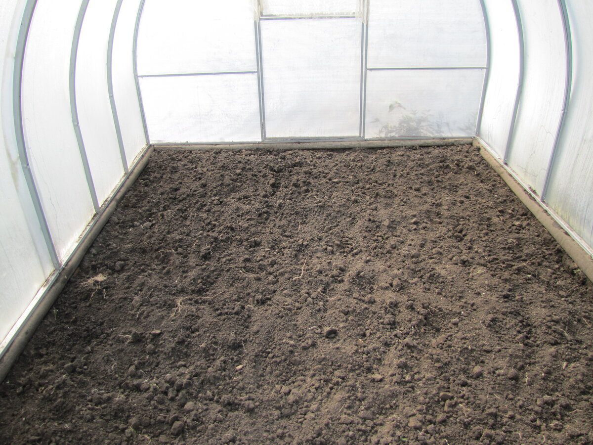 Експерти розповіли про поширені хвороби овочевих культур