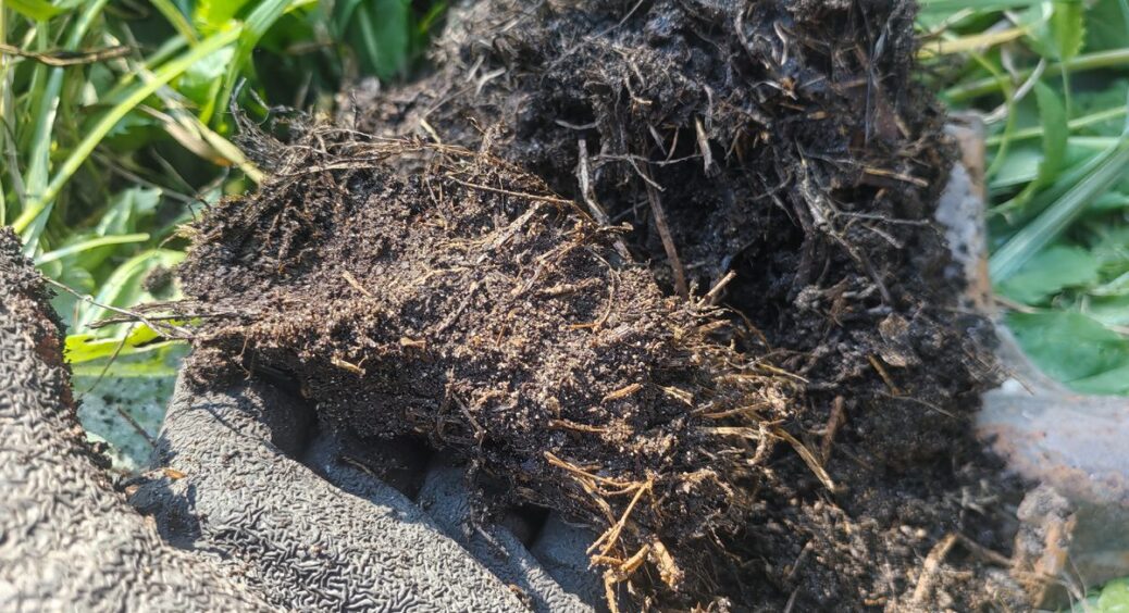 1 ложка на відро у жовтні – і компостна купа “працює” всю зиму: навесні перегній готовий на всі 100% 