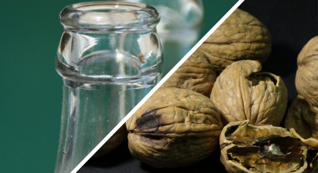 Беру 3 волоські горіхи та 1 скляну пляшку: це не “Вуду”, а крутий лайфхак – економить купу часу 