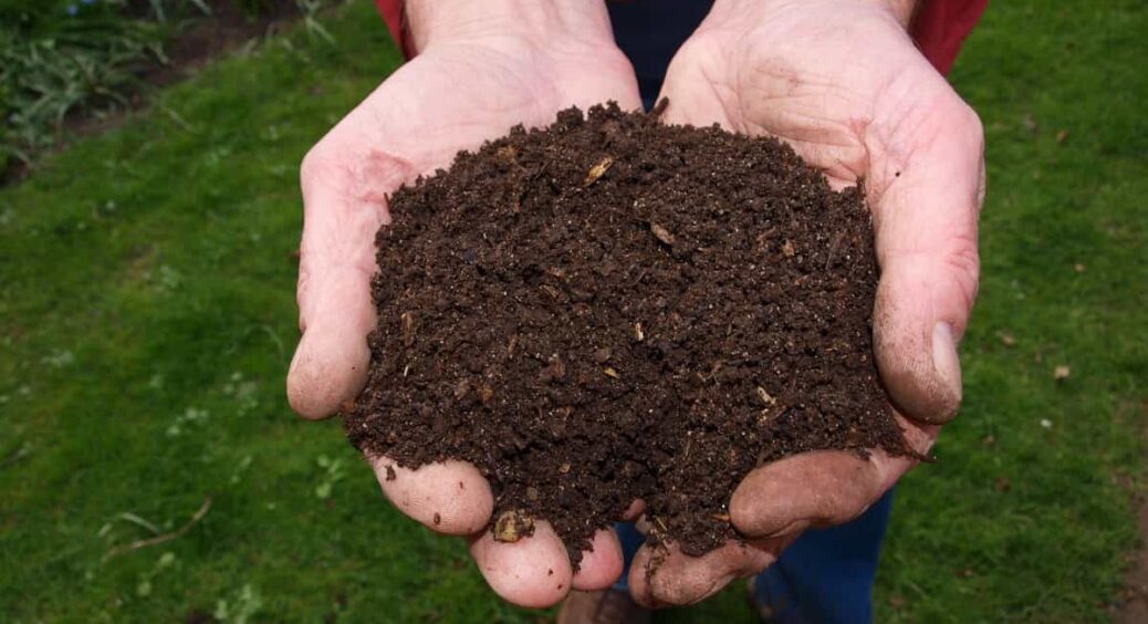 Компост “заснув” на зиму – додала 1 пакет цього у купу: навесні готове добриво, а не купа гнилих листків 