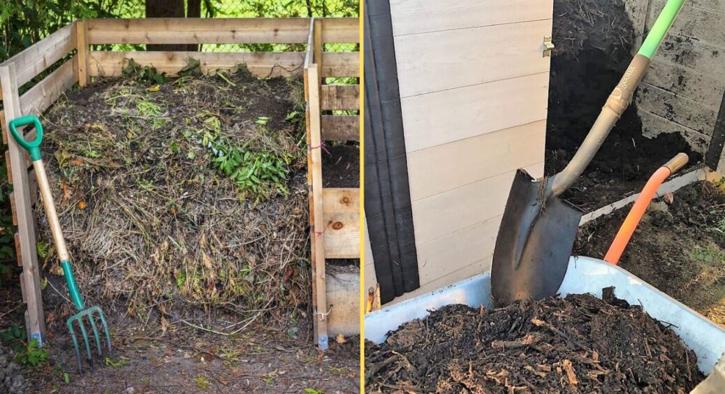 Осінні секрети “чорного золота”: сусіди в ауті мого компосту з року в рік – просять хоч по 1 жменці 