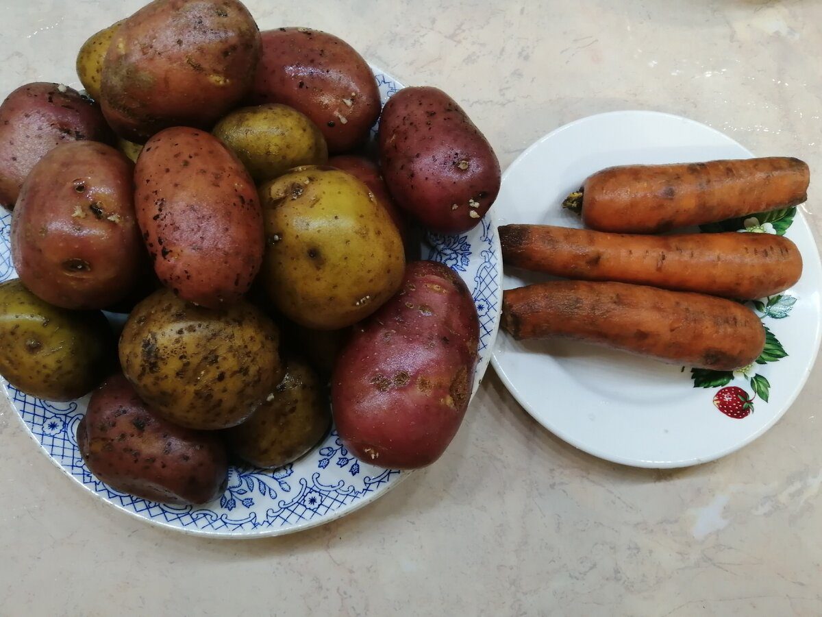 Експерти розповіли, скільки коштують овочі в Україні – стандартний борщовий набір