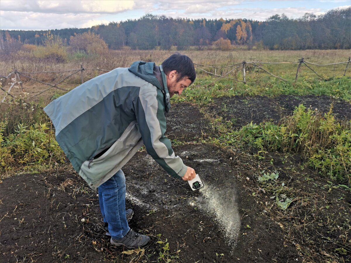 Експерти розповіли про осіннє підживлення землі на городі  
