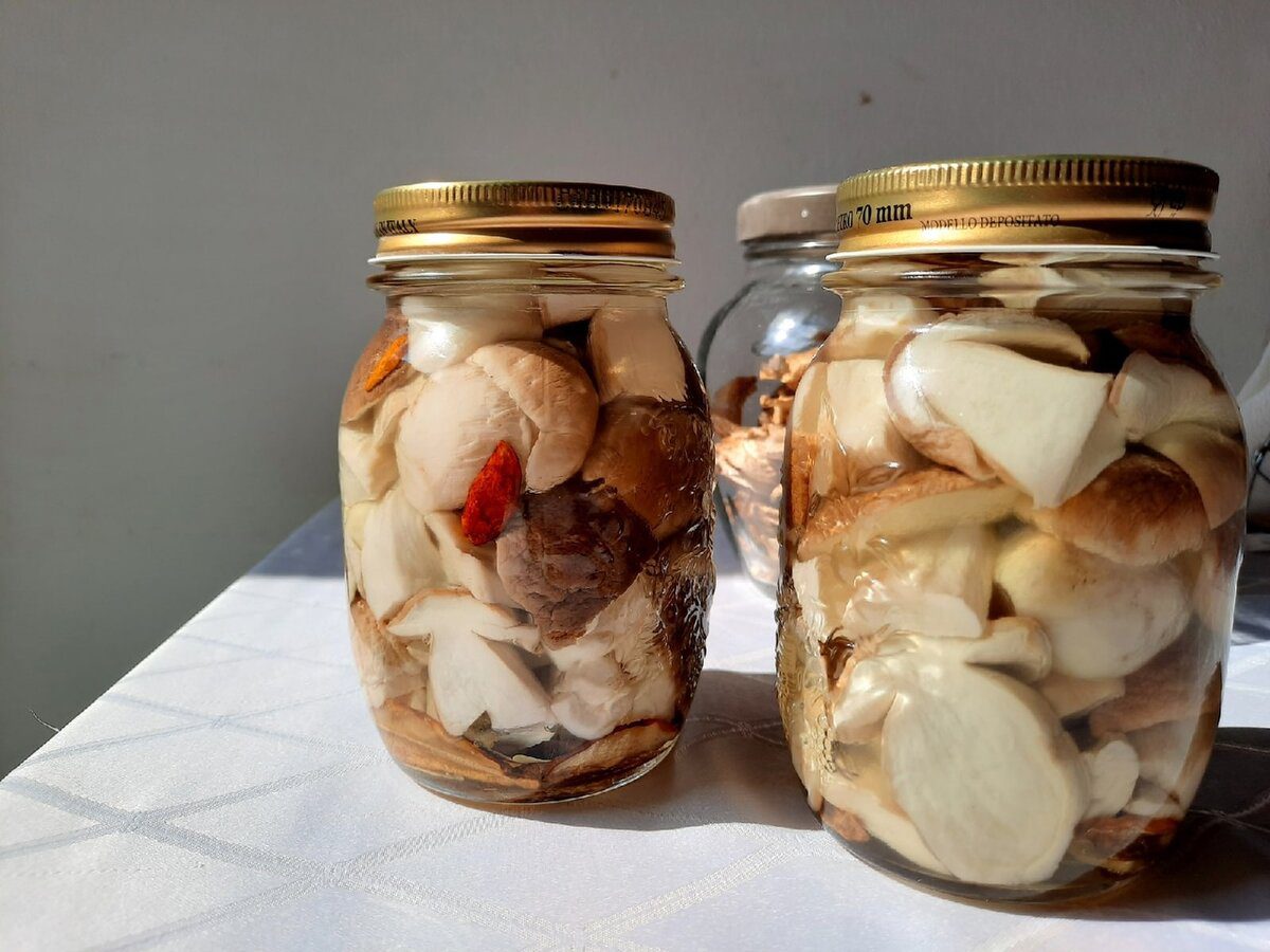 Експерти розповіли, як правильно підготувати гриби до консервації – секрети й тонкощі