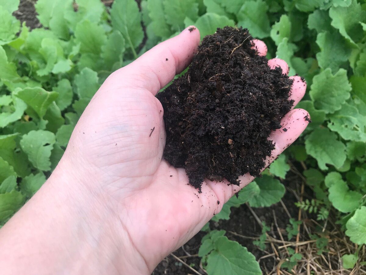 Городники розповіли, як підвищити користь компосту і родючість ґрунту