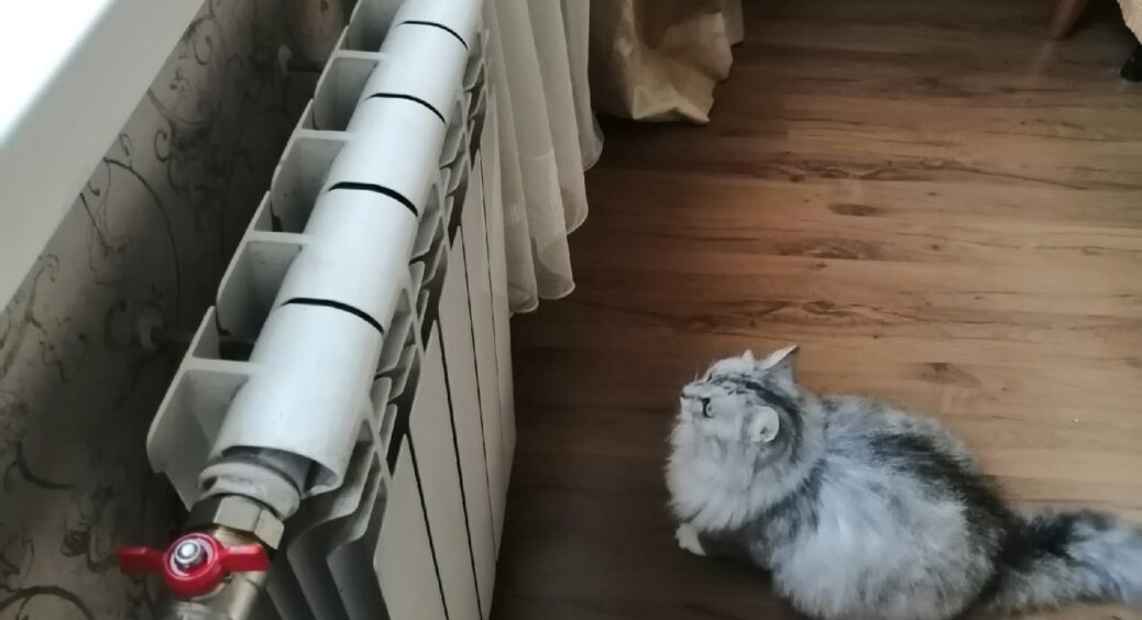 Це не лайфхак, а осіннє золото! Більше не плачу зайве за опалення: зробила батарею теплішою у 3 рази 