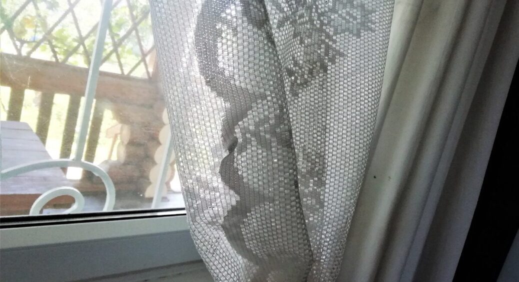 Жовтий тюль перетворився на білосніжний за 1 вечір: весь секрет у цих 2 простих засобах. Ефект на 10 з 10 