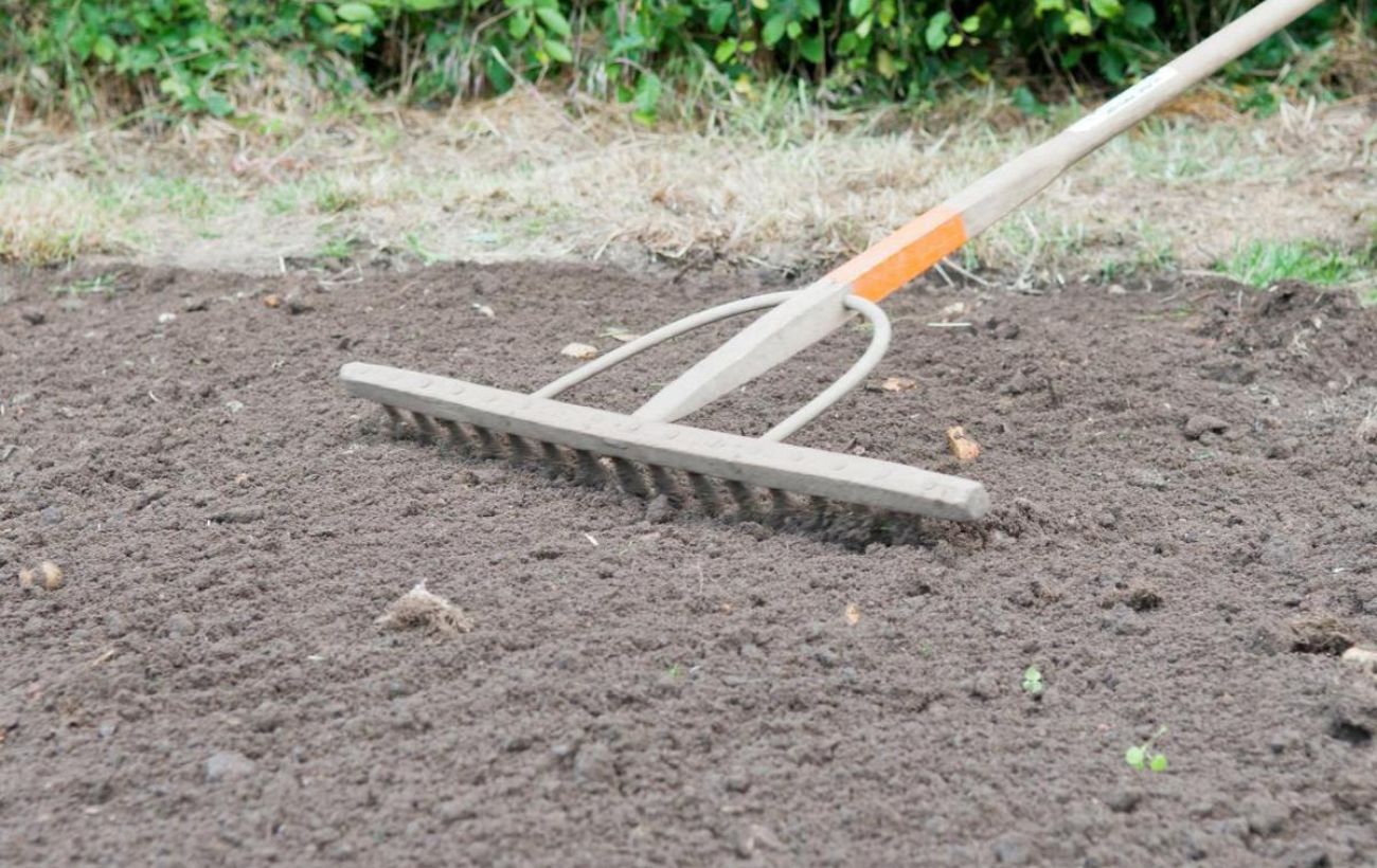 Експерти розповіли, як використати восени грядки на городі