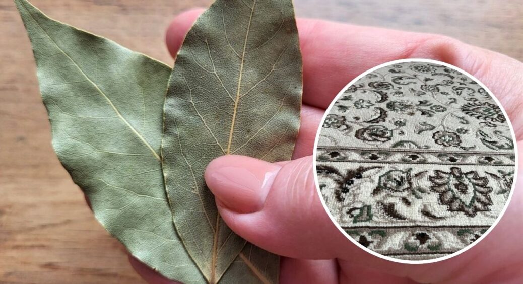 Поклала лавровий лист під килим – і через 24 години квартиру не впізнати: навіть рідні помітили результат 