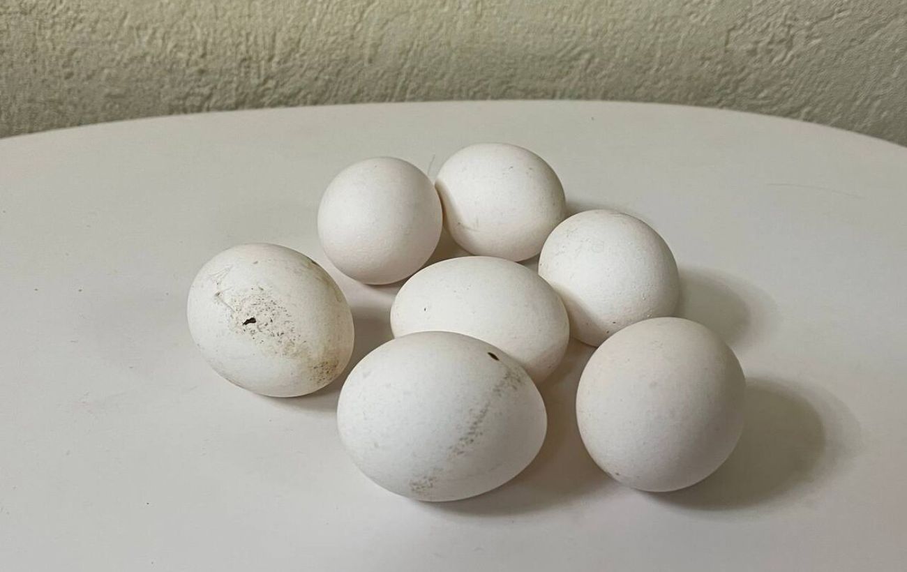 Як варити яйця, аби вони легко чистились