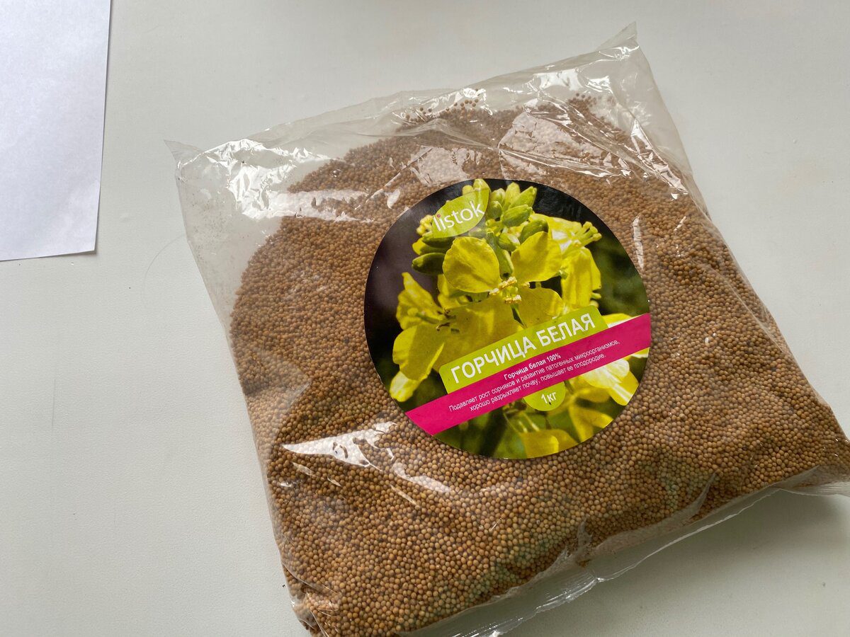 Городники розповіли, які сидерати гарантовано покращують якість та структуру ґрунту