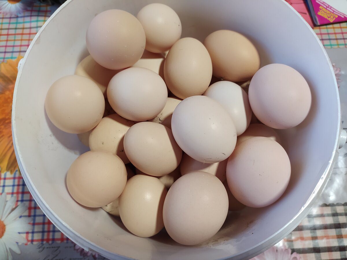 Експерти розповіли, як із користю використати воду, що залишилась після варіння яєць