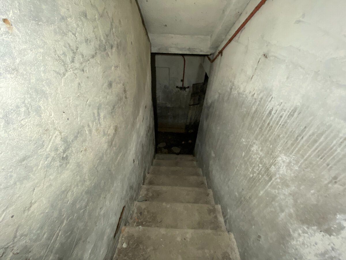 Господині розповіли, як захистити погріб від гризунів взимку