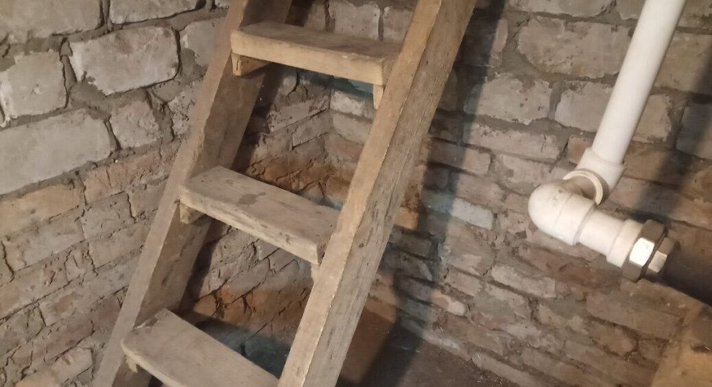 Поставила в підвалі 1 тарілку з цим порошком – і міль, і жучки втекли так, ніби їх віником вимели 