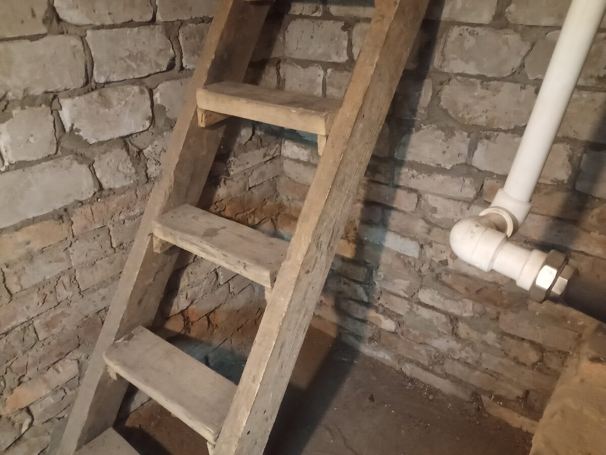 Експерти розповіли, як позбутись від вогкості у підвалі та очистити повітря у погребі