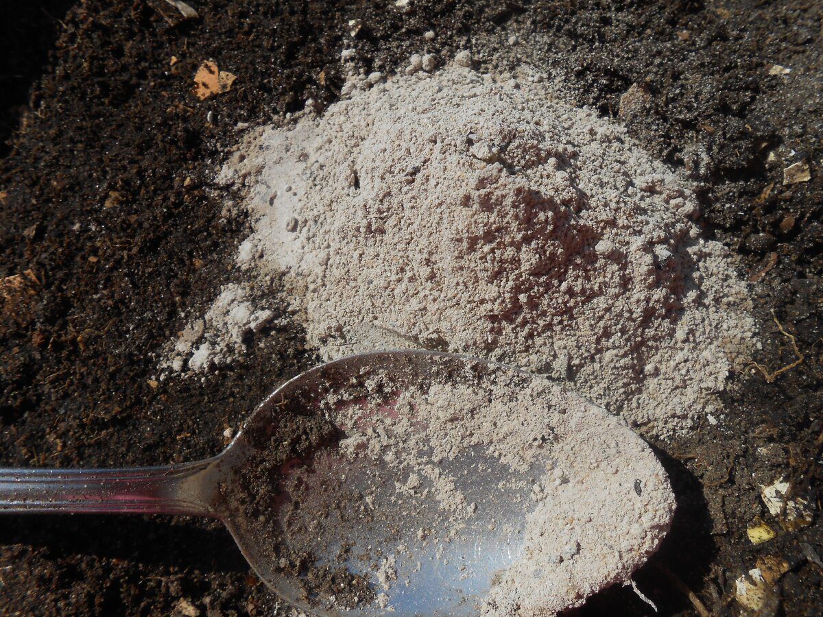 Експерти розповіли про ризики використання золи під корінь і про правильне удобрення продуктом