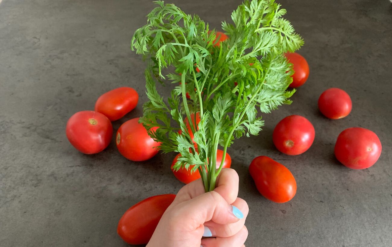 Користь морквяного бадилля на городі