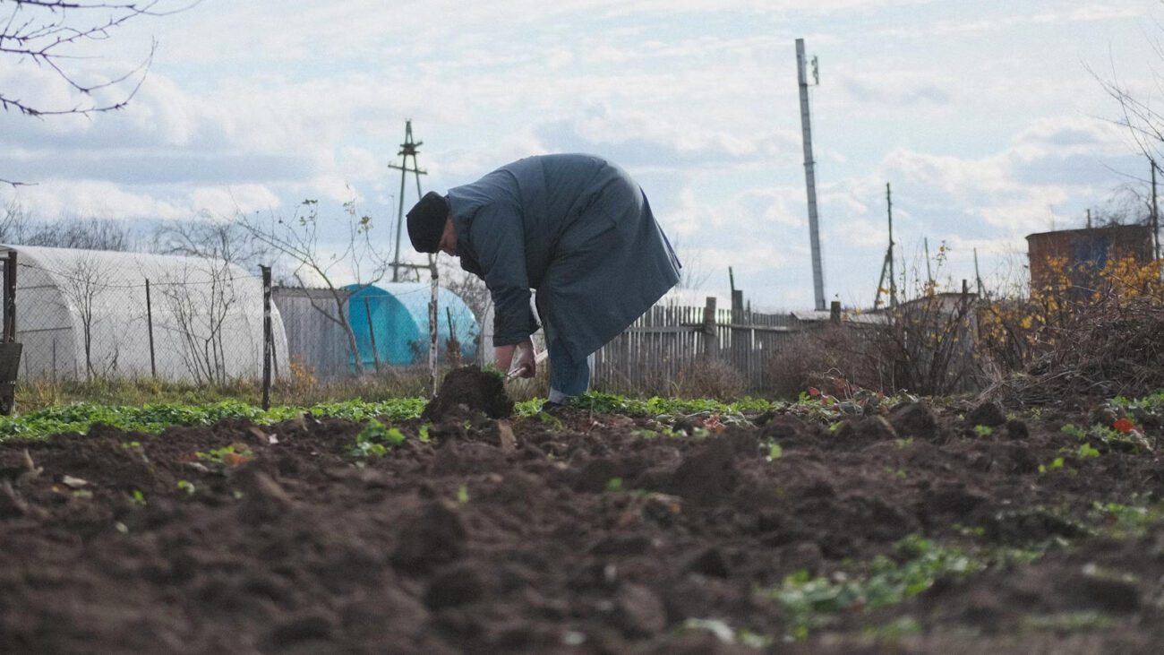 Агрономи пояснили, як підготувати ґрунт до зими: головні правила