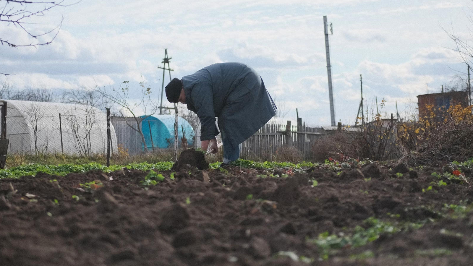Агрономи пояснили, як підготувати ґрунт до зими: головні правила