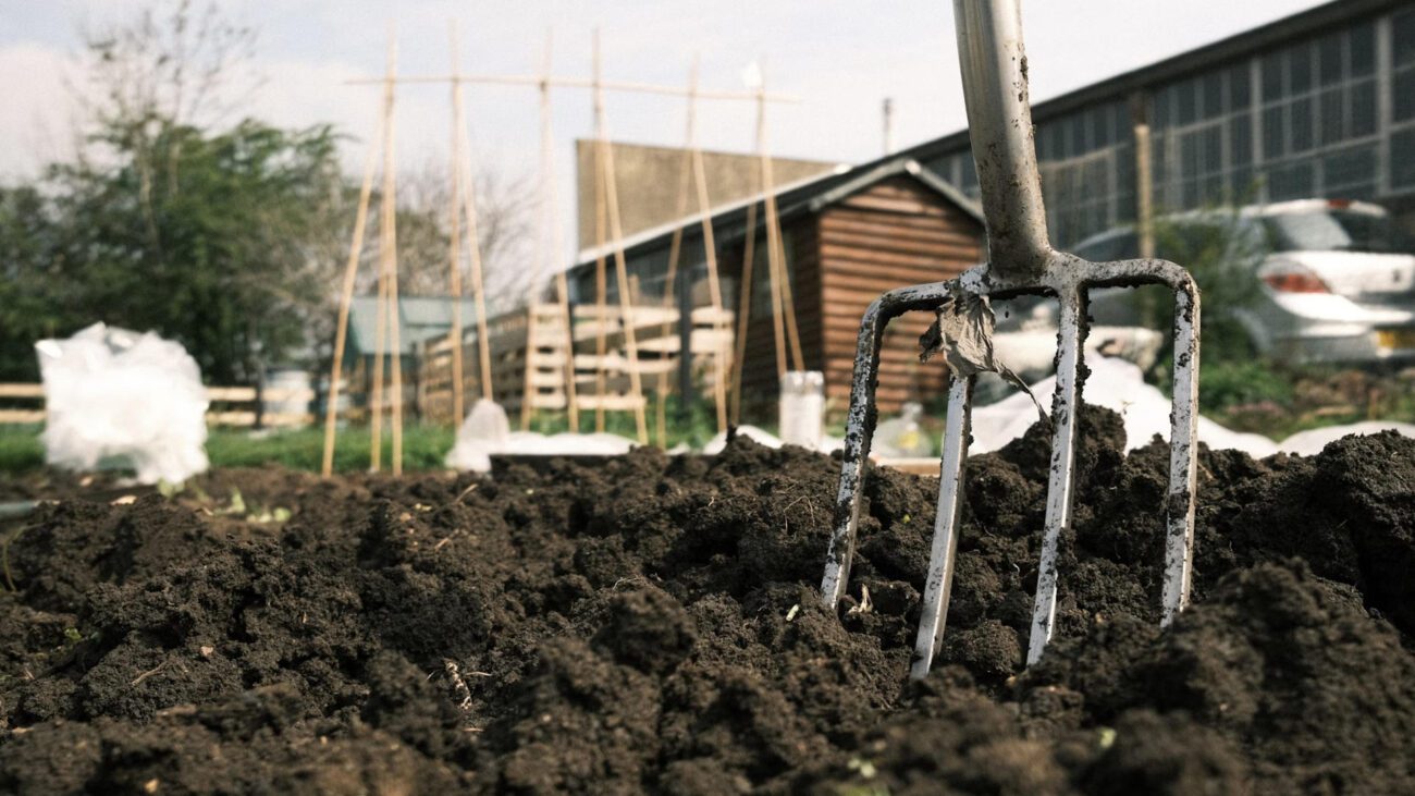 Городники пояснили, для чого городу потрібна бурякова гичка 