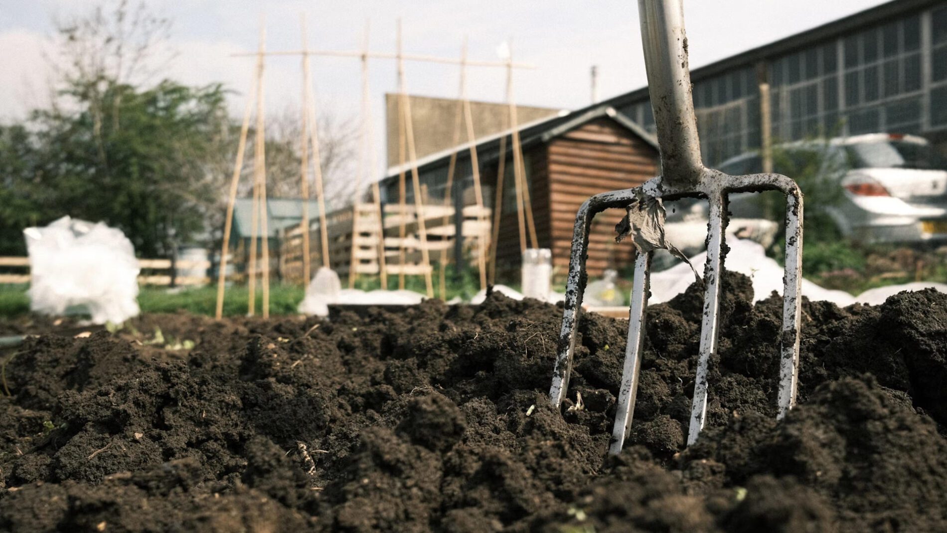 Агрономи пояснили, як підготувати ґрунт до зими: головні правила