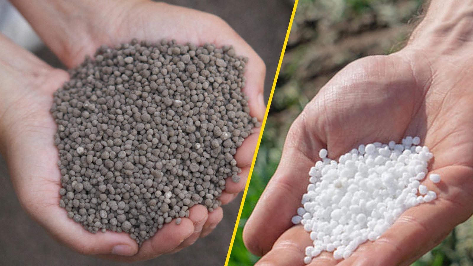 Городники назвали добрива, які не варто вносити на грядки разом