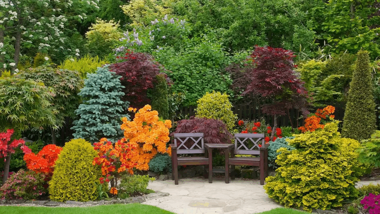 Експерти розповіли секрети створення дорогого саду