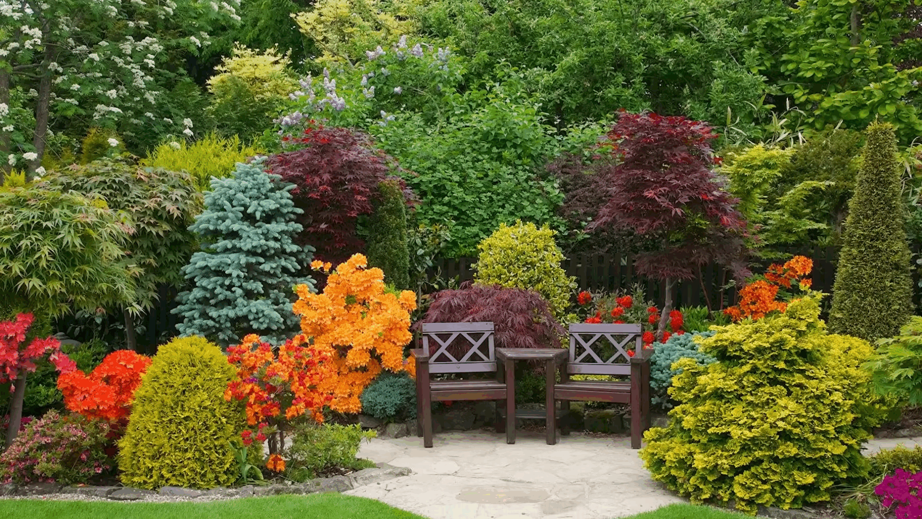 Експерти розповіли секрети створення дорогого саду