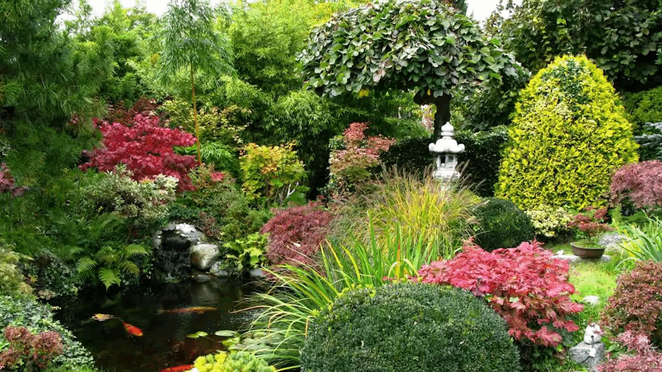 Експерти розповіли, що відрізняє дорогі сади від дешевих