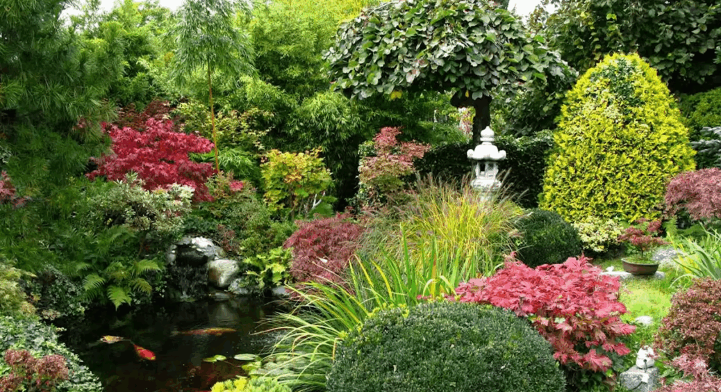 Замість живої огорожі посадила ці кущі – ділянка виглядає на 100 мільйонів: розповідаю про секрети 